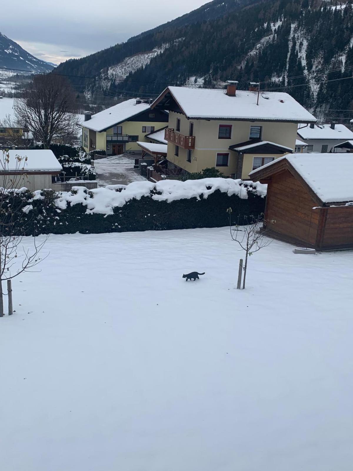Panorama Apartments Semslach Obervellach Εξωτερικό φωτογραφία