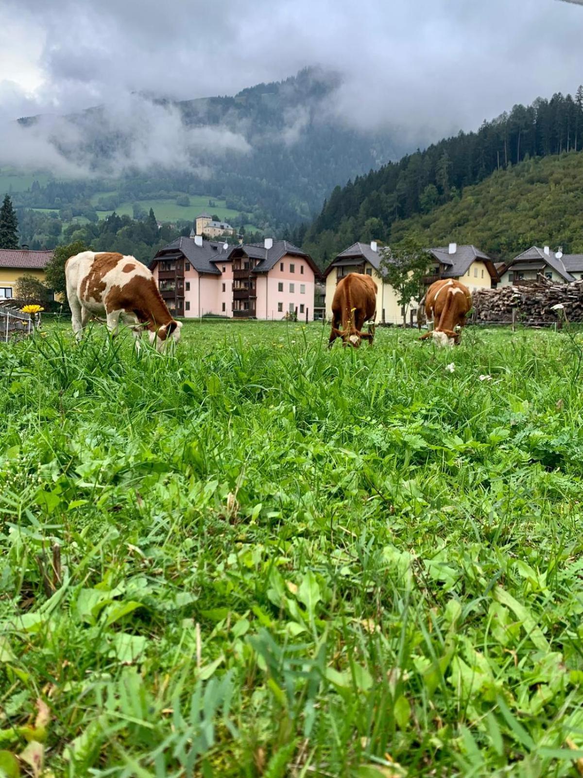 Panorama Apartments Semslach Obervellach Εξωτερικό φωτογραφία